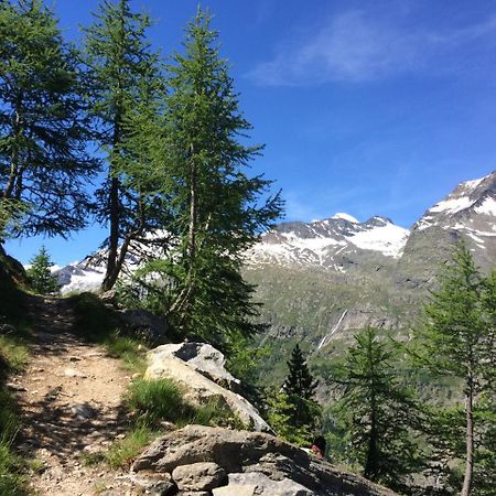 B&B Haus Granit Saas Grund Kültér fotó